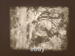 Distant Drums 1951 Super 8 B/w Sound 2 X 800ft 8mm Cine Film Feature Gary Cooper